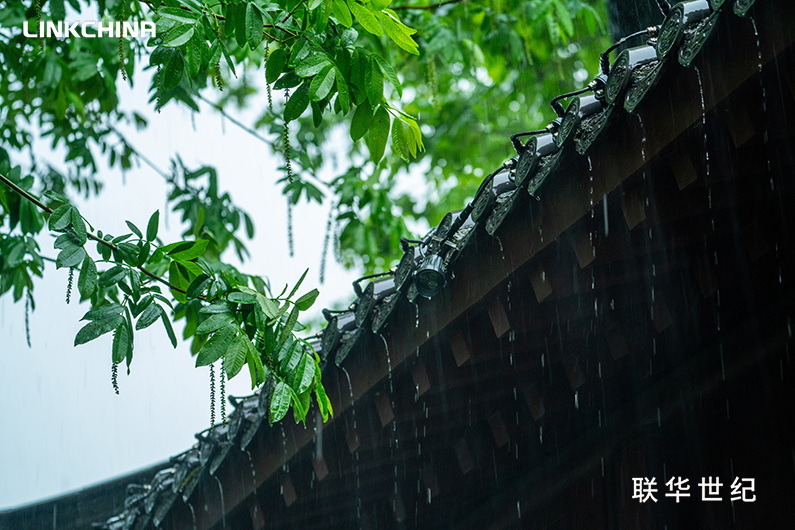 员工天地 | 春季有感