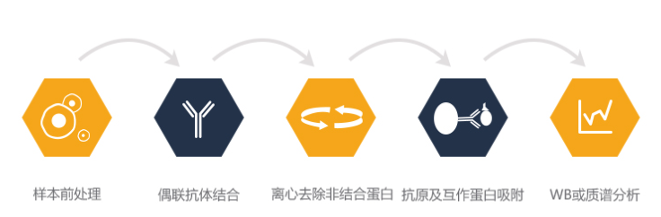 艳妇厨房激情偷换