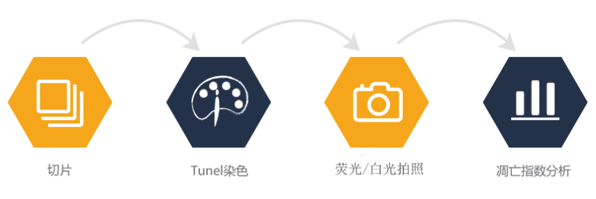 艳妇厨房激情偷换