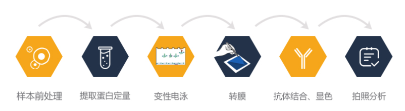 艳妇厨房激情偷换