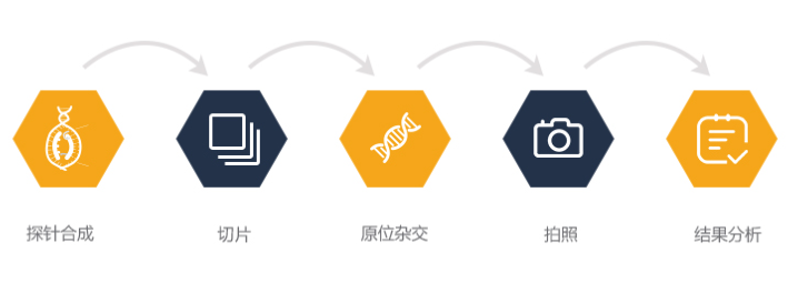 艳妇厨房激情偷换