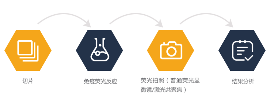 艳妇厨房激情偷换