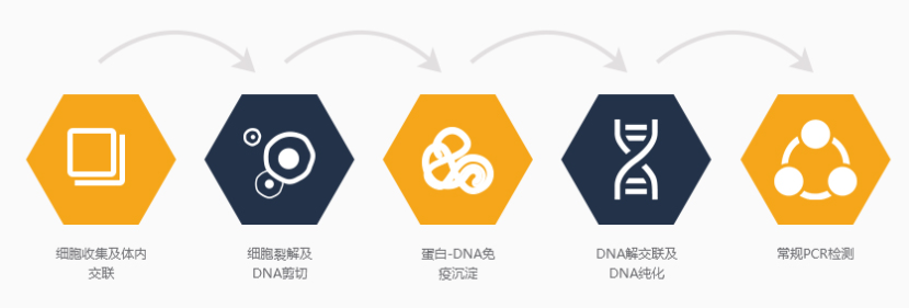 艳妇厨房激情偷换