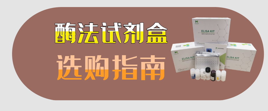 艳妇厨房激情偷换