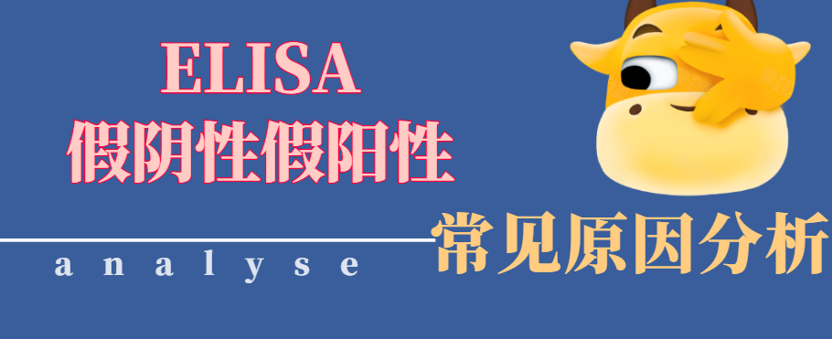 艳妇厨房激情偷换