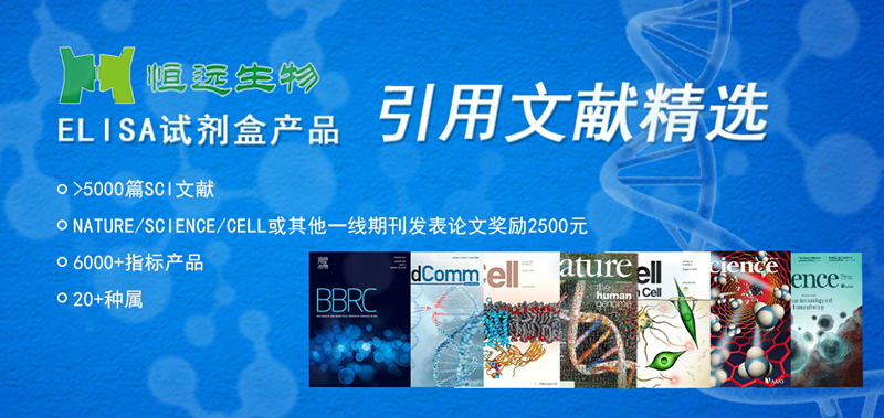 艳妇厨房激情偷换