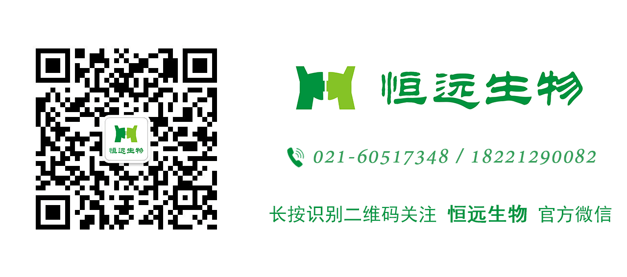 艳妇厨房激情偷换