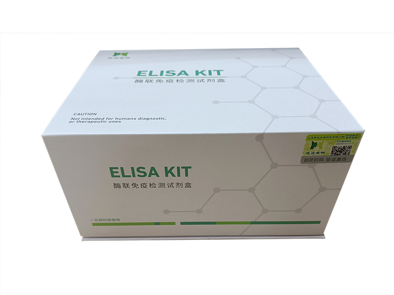 艳妇厨房激情偷换