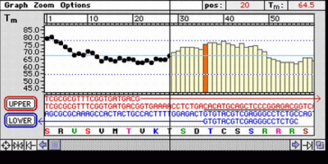 艳妇厨房激情偷换
