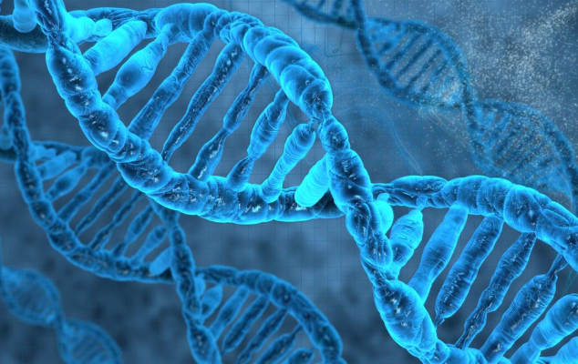 艳妇厨房激情偷换