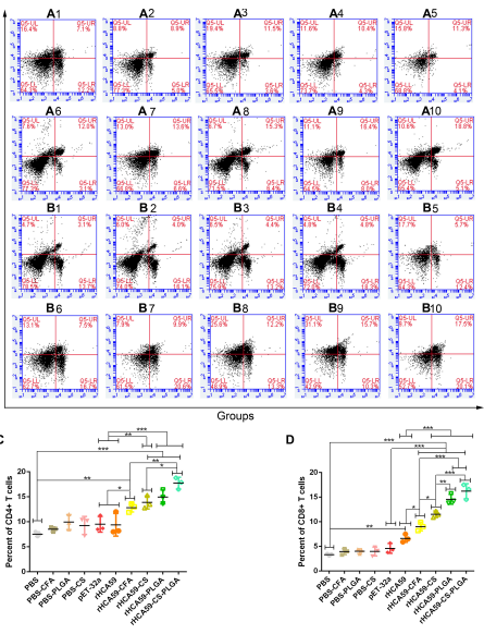 艳妇厨房激情偷换