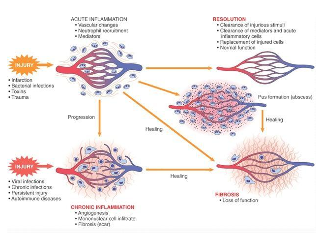 艳妇厨房激情偷换
