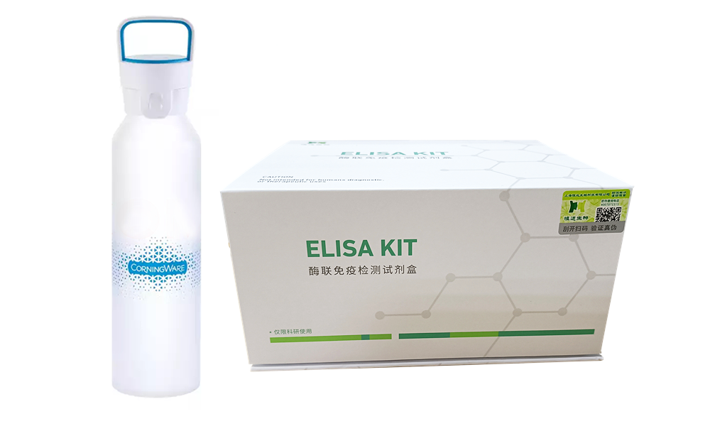 艳妇厨房激情偷换