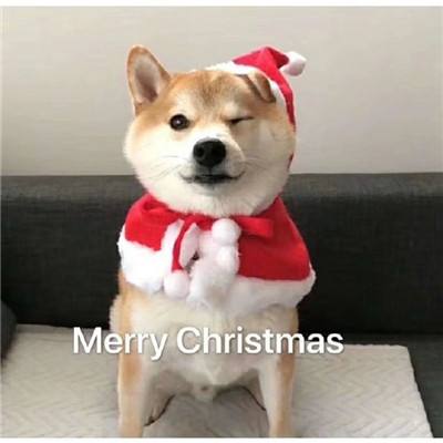 艳妇厨房激情偷换