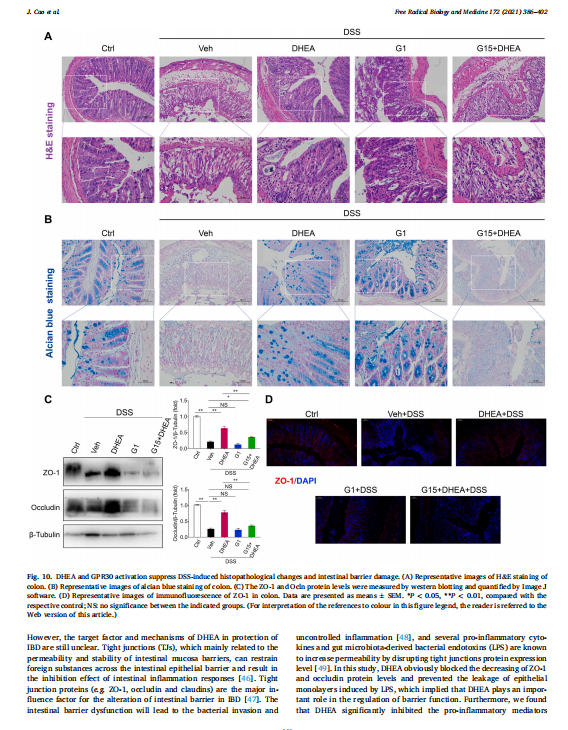 艳妇厨房激情偷换