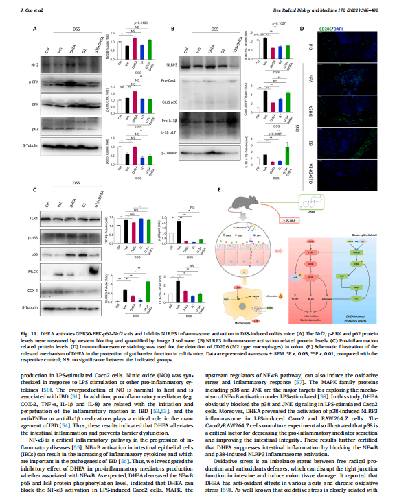 艳妇厨房激情偷换
