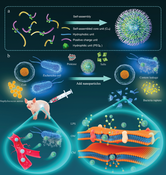 艳妇厨房激情偷换