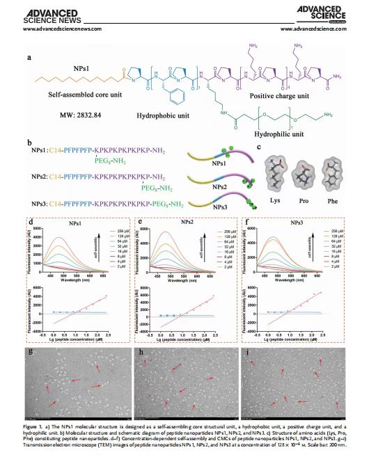 艳妇厨房激情偷换