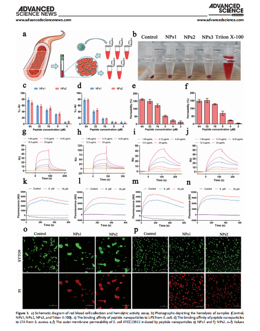 艳妇厨房激情偷换