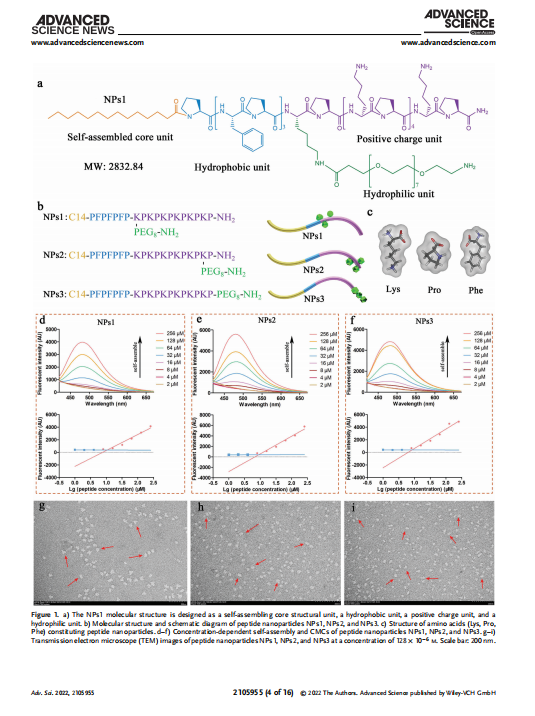 艳妇厨房激情偷换