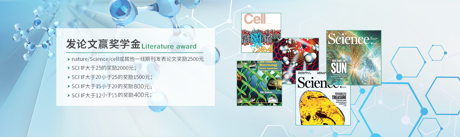 艳妇厨房激情偷换