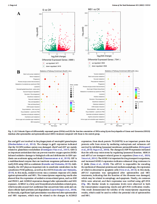艳妇厨房激情偷换