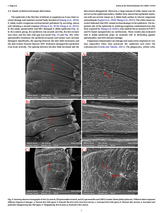 艳妇厨房激情偷换