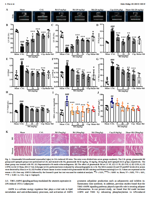 艳妇厨房激情偷换