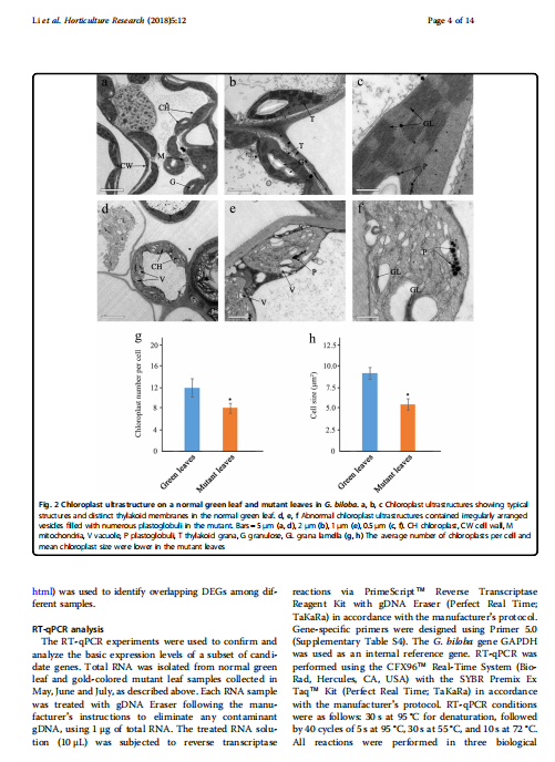 艳妇厨房激情偷换