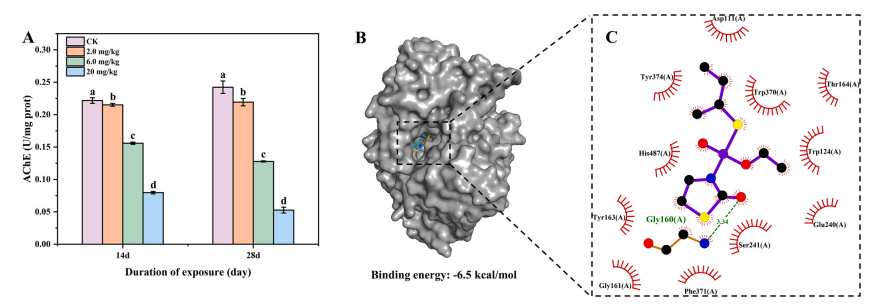 艳妇厨房激情偷换