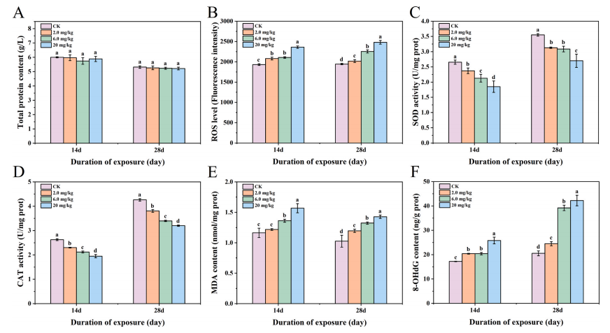 艳妇厨房激情偷换