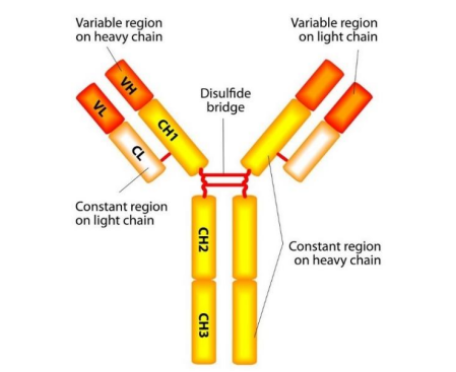 艳妇厨房激情偷换