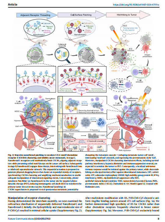 艳妇厨房激情偷换