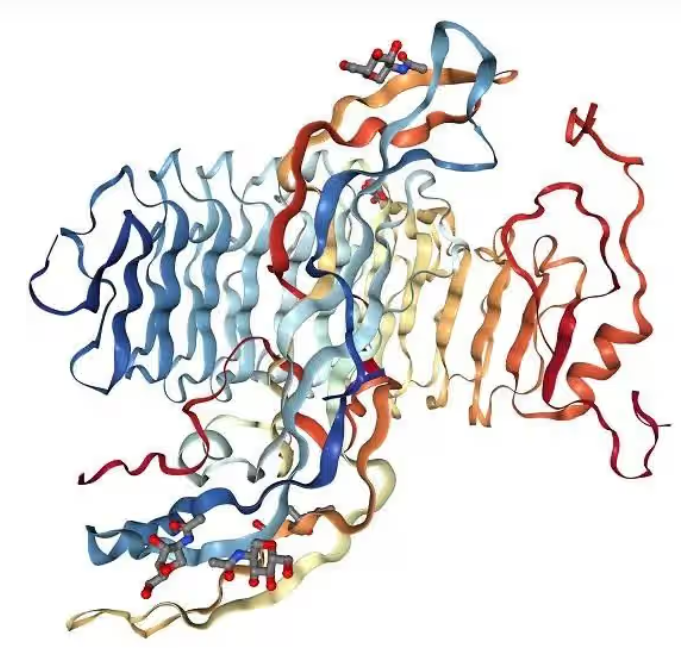 艳妇厨房激情偷换