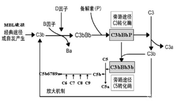 艳妇厨房激情偷换