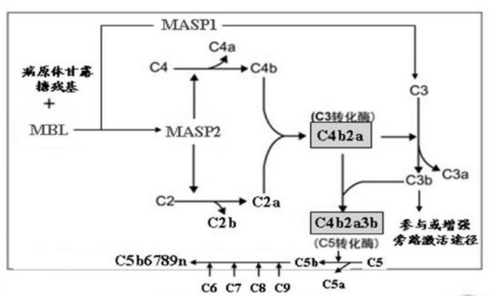 艳妇厨房激情偷换