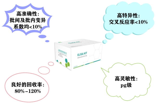 艳妇厨房激情偷换