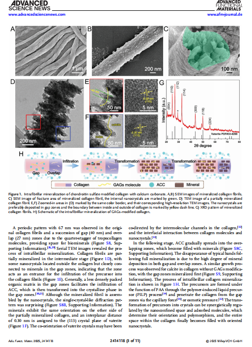 艳妇厨房激情偷换