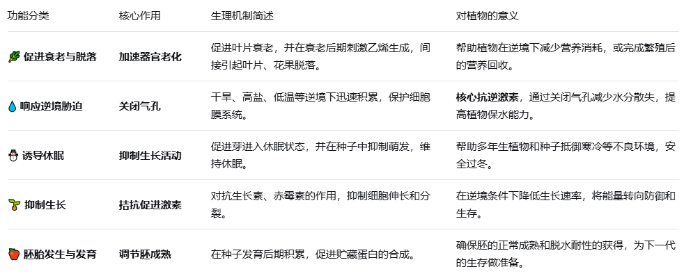 艳妇厨房激情偷换